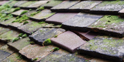 Singleborough roof repair costs